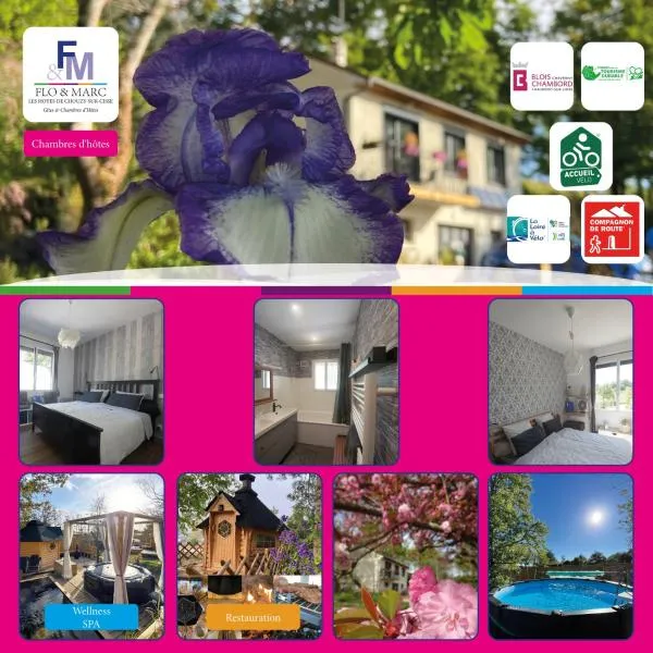 Chez Flo et Marc, hotel a Chouzy-sur-Cisse