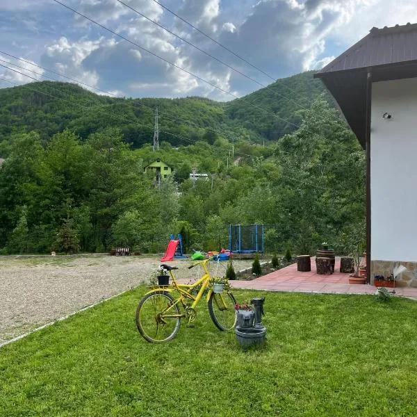 Casa Vio, hotel in Piatra Corbului