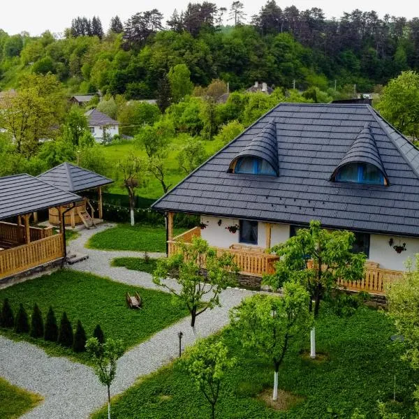 La Bunici, hotel in Vişeu de Sus