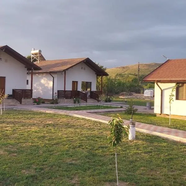 Zander House, hotel in Măraşu