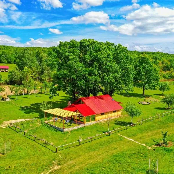 Căsuța din Stejari-Transalpina, hotel v destinaci Novaci-Străini