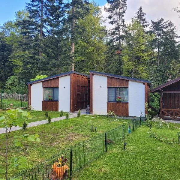 Chalet Amik, hotel en Bușteni