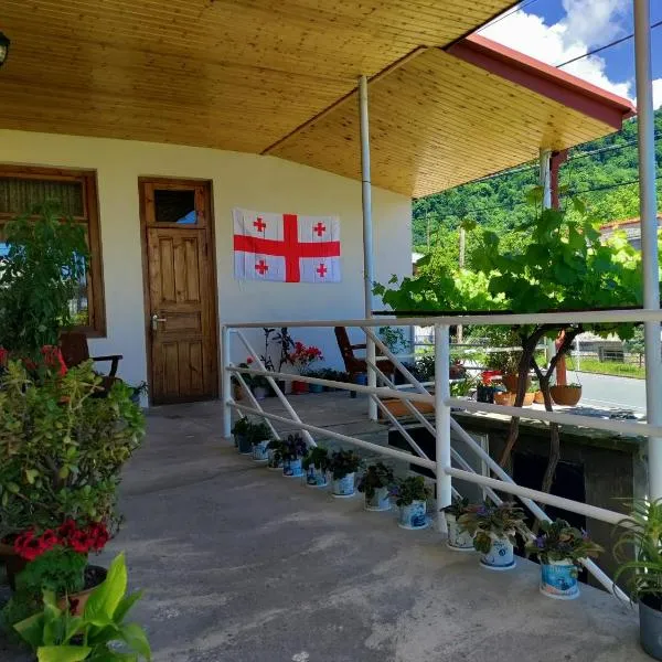 Jibghashvilebi's house, hotel di Lagodekhi