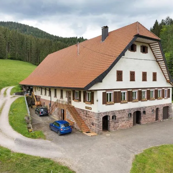 Sulzerhof, hotel in Bad Rippoldsau-Schapbach
