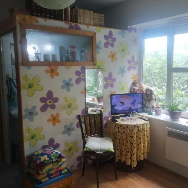 Studio beba, hotel in Zvezdara