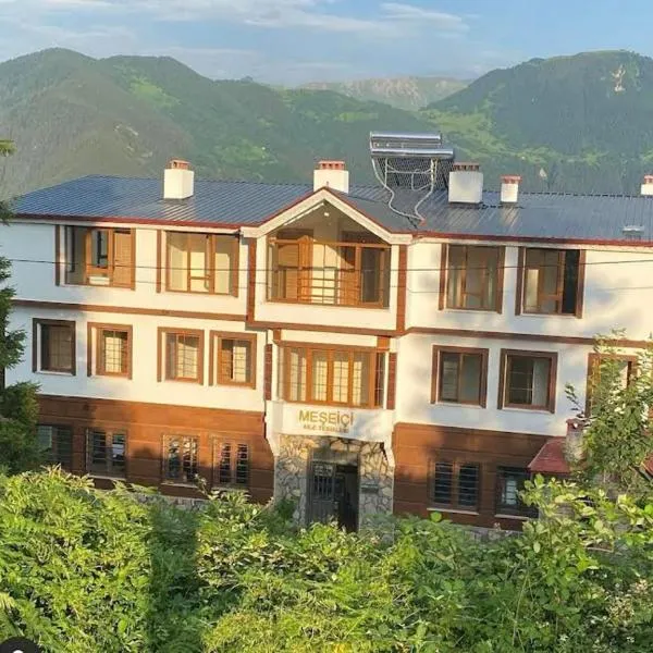 MEŞEİÇİ BUTiK HOTEL, hotel v destinaci Macka