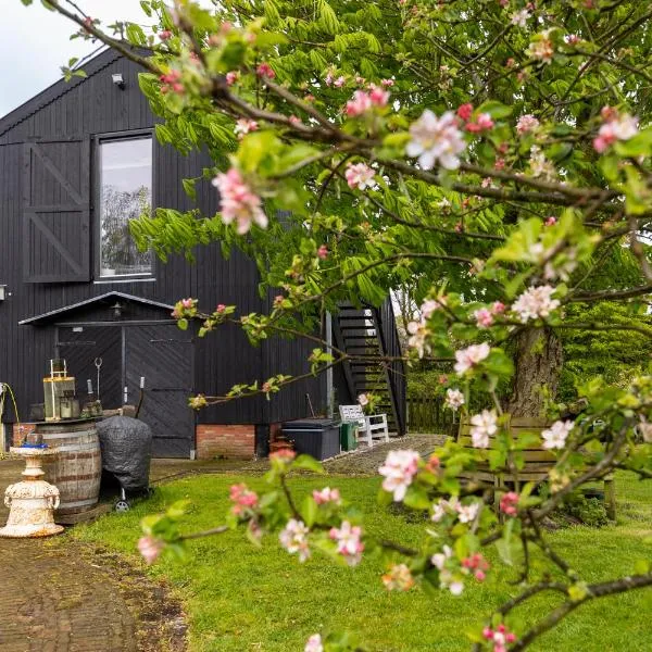 Studio Hooischuur Alkmaar/Bergen, hotel em Alkmaar