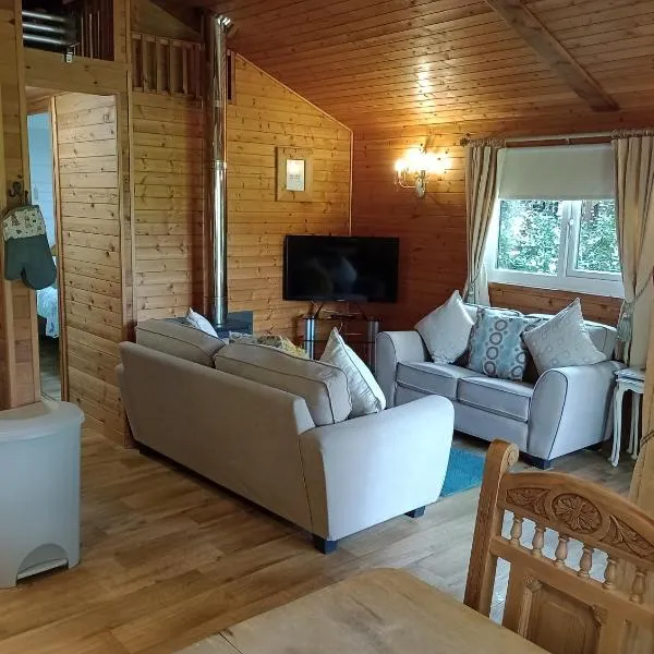 Comfy Secluded Cabin, hotell sihtkohas Machynlleth