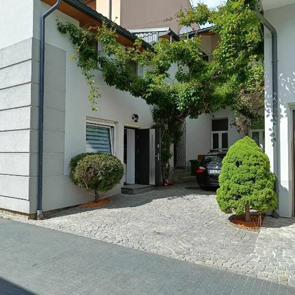KIWI Apartament, hotel en Muszyna