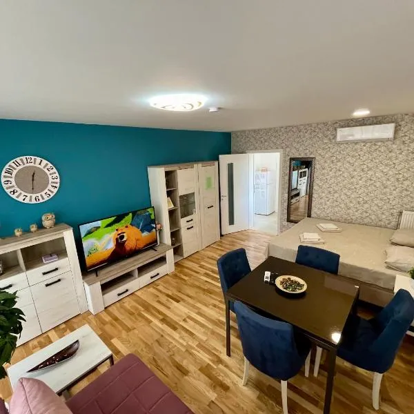 Lux apartment 10 center, free parking, hotel v destinaci Niš