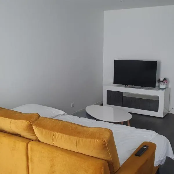 Studio le Puy-en-Velay, hotel in Le Puy en Velay