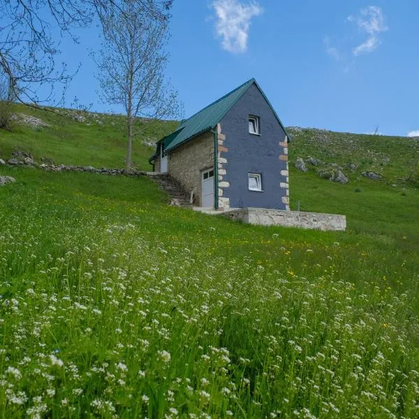 4NORTH Tiny house on the Durmitor's ring, hotel v destinaci Pišče
