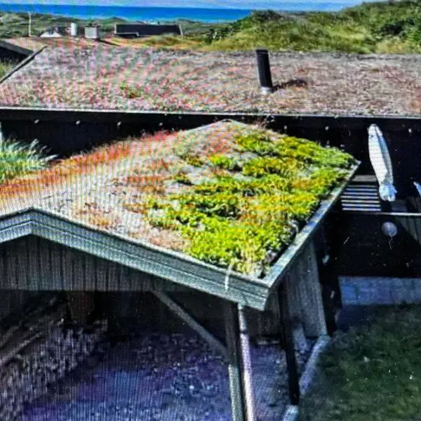 Veludstyret sommerhus i unik natur 350 m fra lækker badestrand - helårsbolig, hotel in Saltum