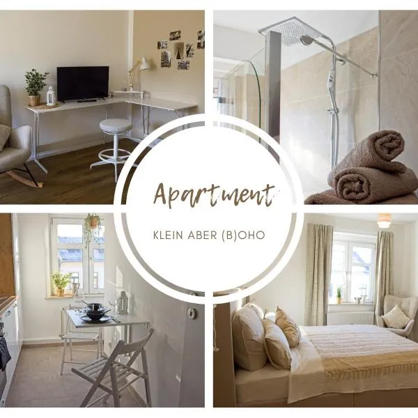 드레스덴에 위치한 호텔 Dresden City Apartment zum Wohlfühlen