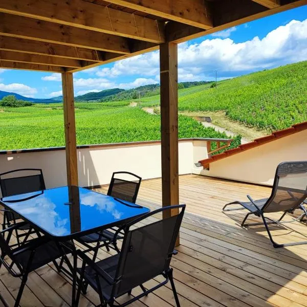 Le cocon de Jeannette, hotel en Bergheim