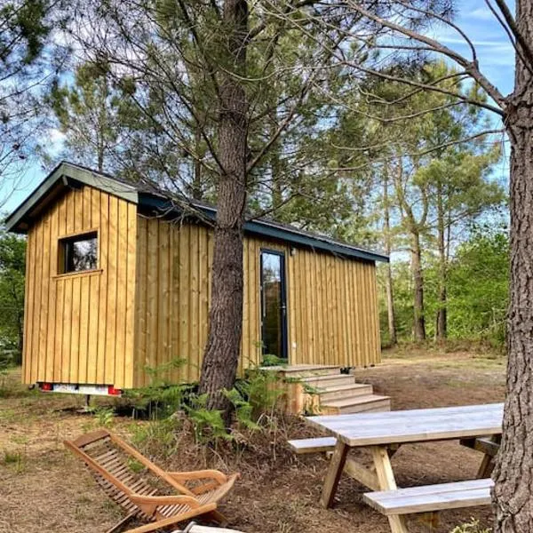 Camping la Kahute - Tiny House au coeur de la fôret – hotel w mieście Carcans