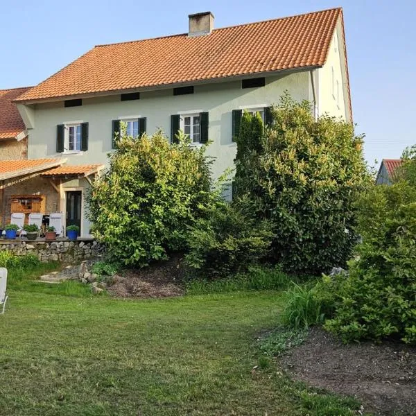 Ferienhaus am Donauspitz, Hotel in Kelheim