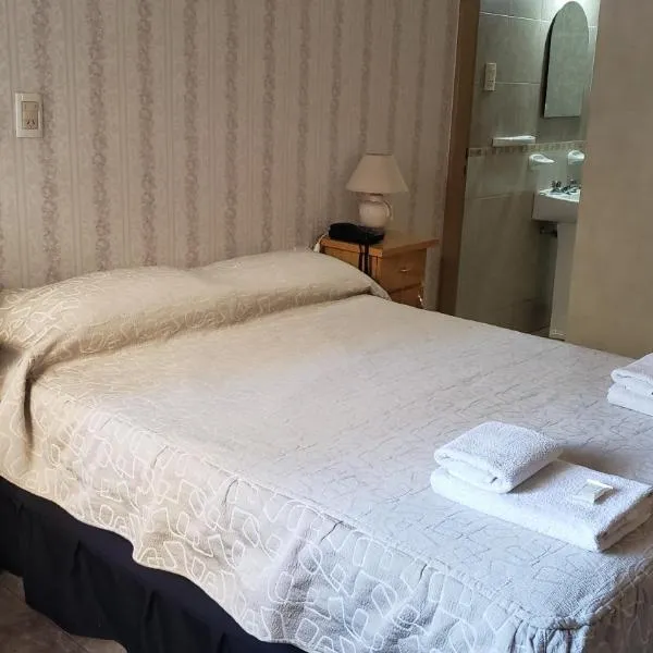 Hotel Geminis, hotel in Mendoza
