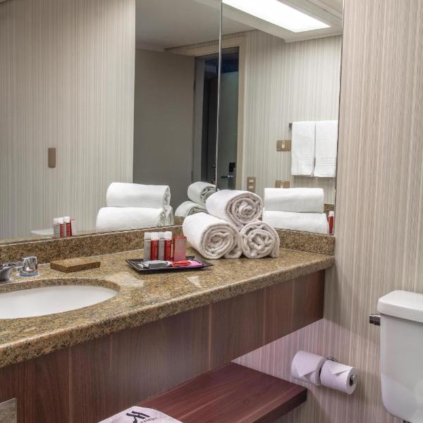 Marriott São Paulo Airport Hotel - Foto 4