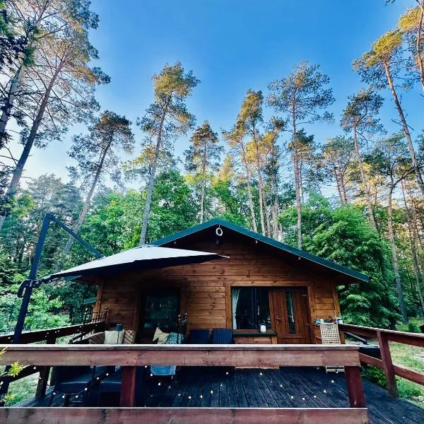 Urocza chatka w lesie nad wodą, hotel in Skubianka