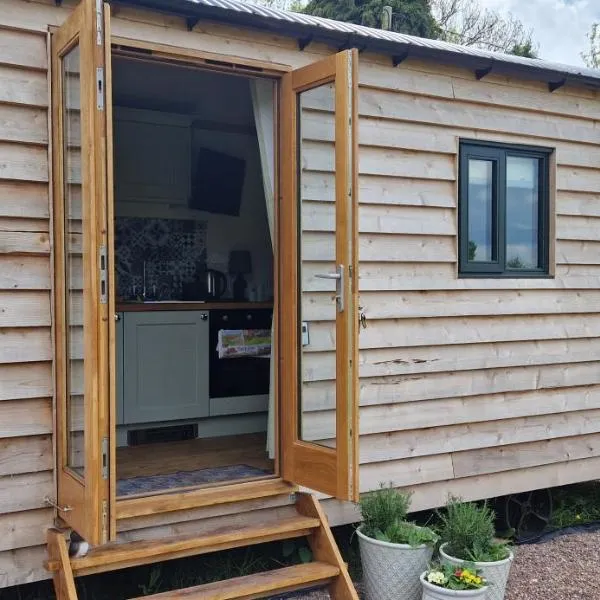 Cosy Owl - Shepherds Hut, hotel in Longford