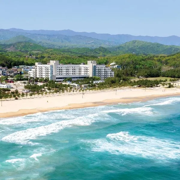 Ocean 2 You Resort Seorak Beach Hotel & Condo, hotell i Goseong