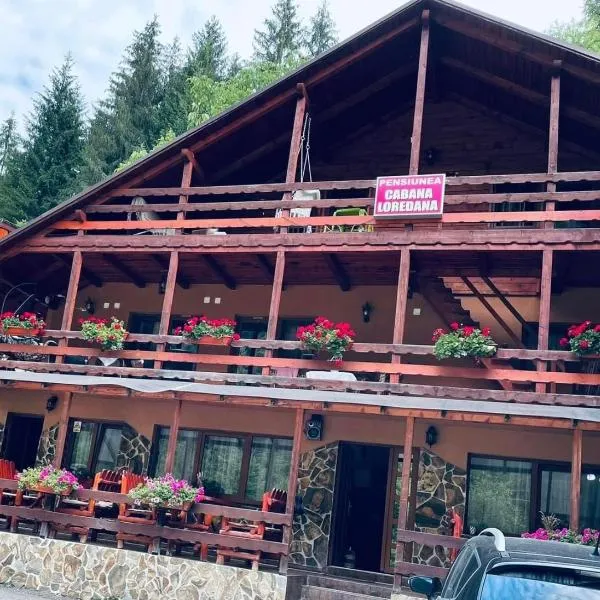 Cabana Loredana, hotel v destinaci Vadu Moţilor