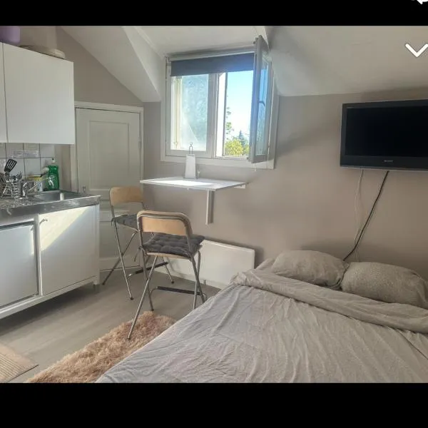 Yksiö lähellä Kupittaa Rautatieasemaa Turku, hotel a Turku