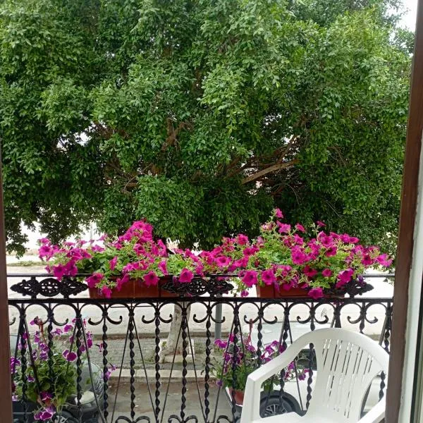 Casa vacanze bluchic Gioisia，伊索拉德萊費姆米內的飯店