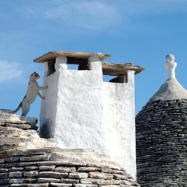 B&B Corso Trieste e Trento, hotel ad Alberobello