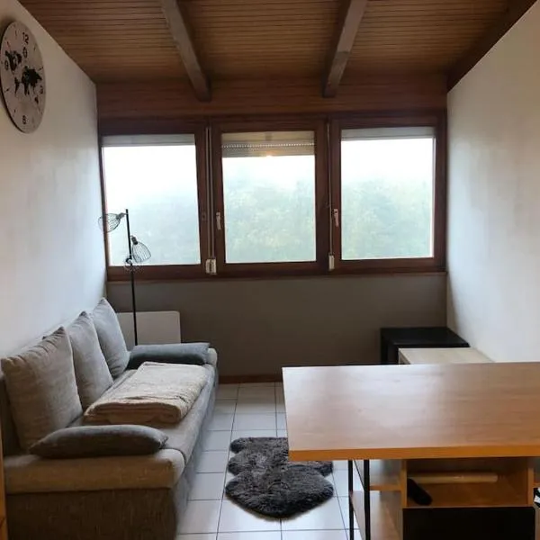 Studio 24m2 au Markstein, hotel in Oderen
