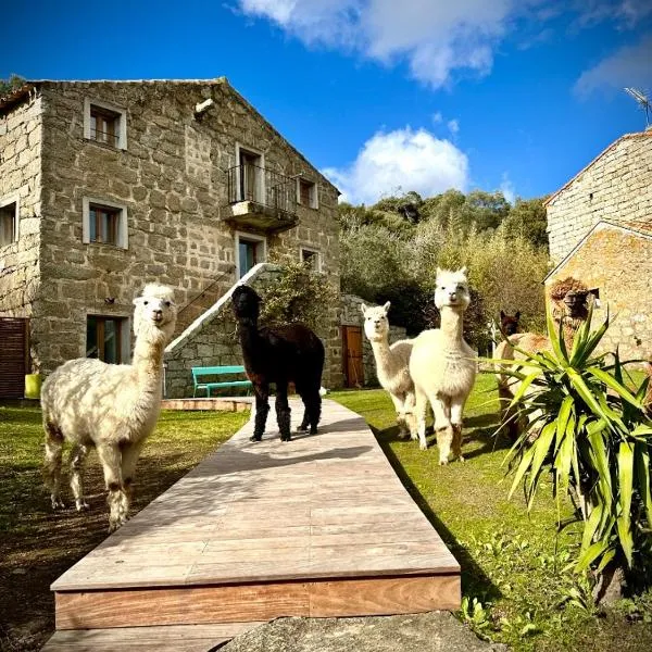 Les Bergeries de Figari, hotel in Tarrabucceta