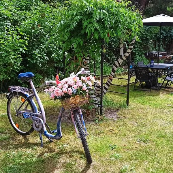 Willa Retro Hostel & Garden, Hotel in Krakau