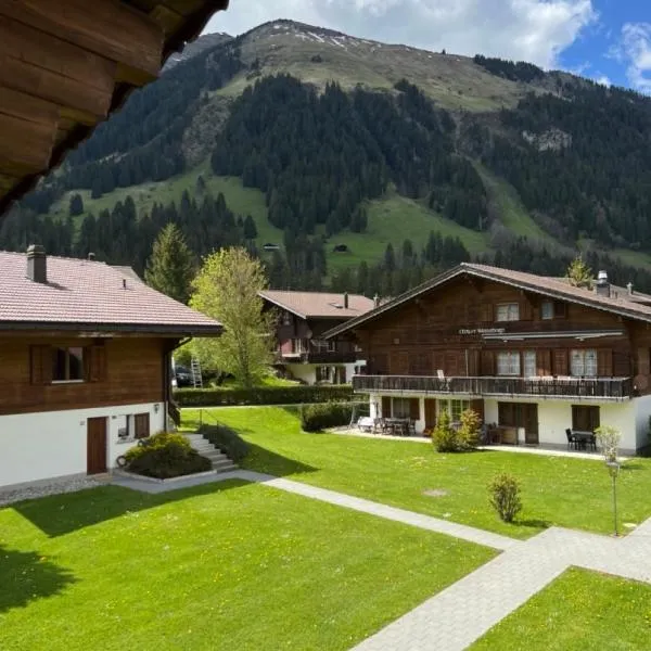Beautiful Apartment With Stunning View - Chalet Mutthorn, ξενοδοχείο σε Gsteig
