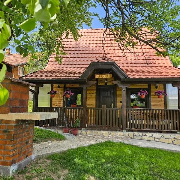 Brvnara ispod stare kruške, hotel v destinaci Bajina Bašta