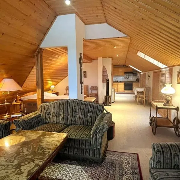 Haus PANORAMA - Appartement Auszeit 5, hotel v destinaci Braunlage