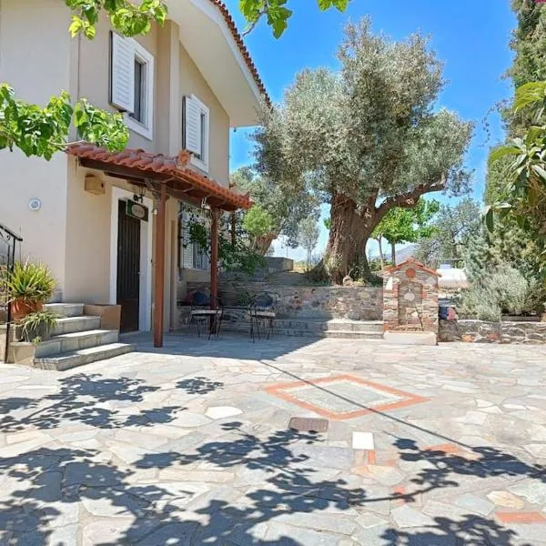 Kato Alonia Home, hotel Áno Váthia városában