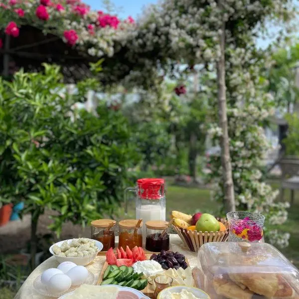 Guest House Miracle Garden, hotel in Vlorë