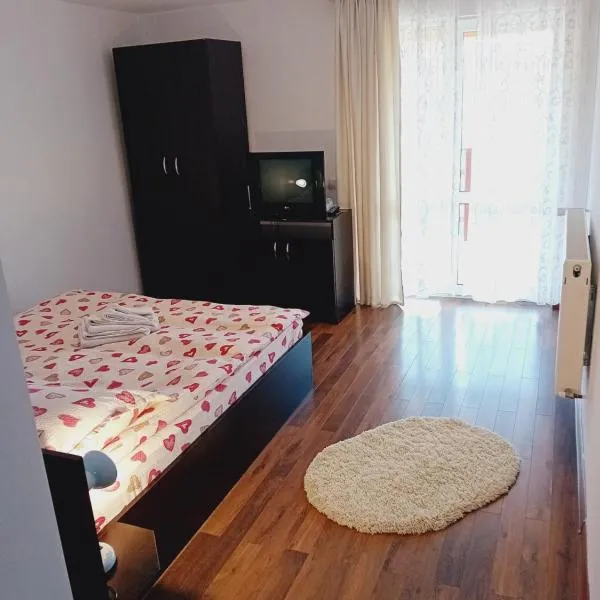 Pensiunea Dimitrie, hotel v destinaci Klášter Humor