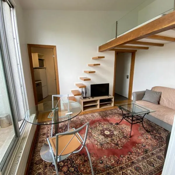 Spacieuses Flats Tour Eiffel Volontaire Paris