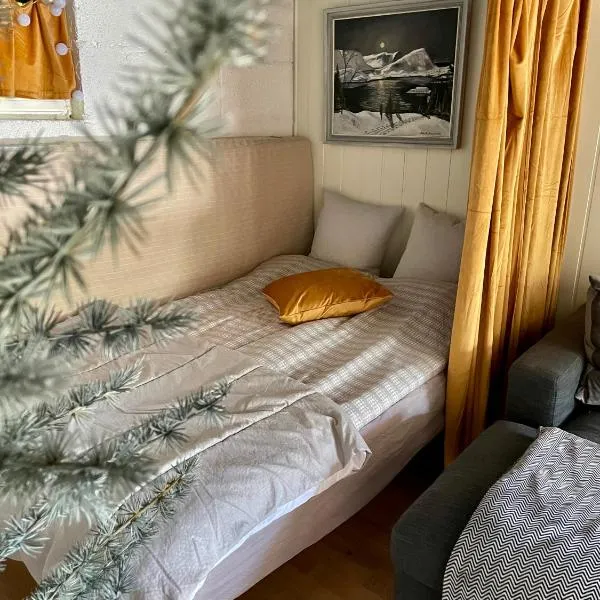 Primitivt kjellerrom uten dusj, med delt toalett, hotel v destinaci Eidsvoll