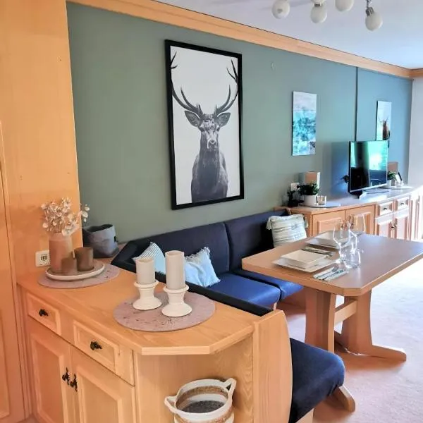 Maria Alm - komfortables Apartment Gipfelglück, hotel in Saalfelden am Steinernen Meer