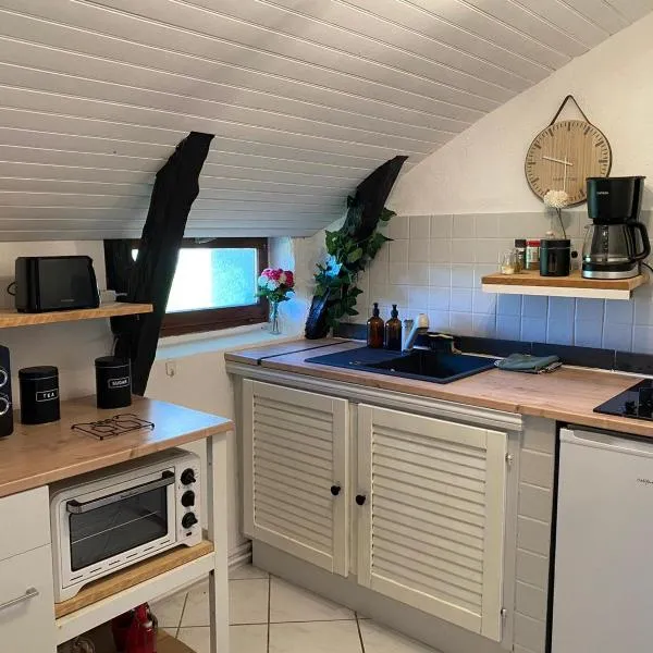 Gite de la deveze cosy et nature – hotel w mieście Saint-Beauzély