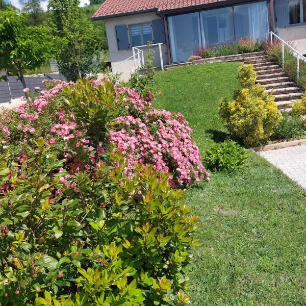 Gite des Reguinelles, hotel v destinaci Saint-Lattier