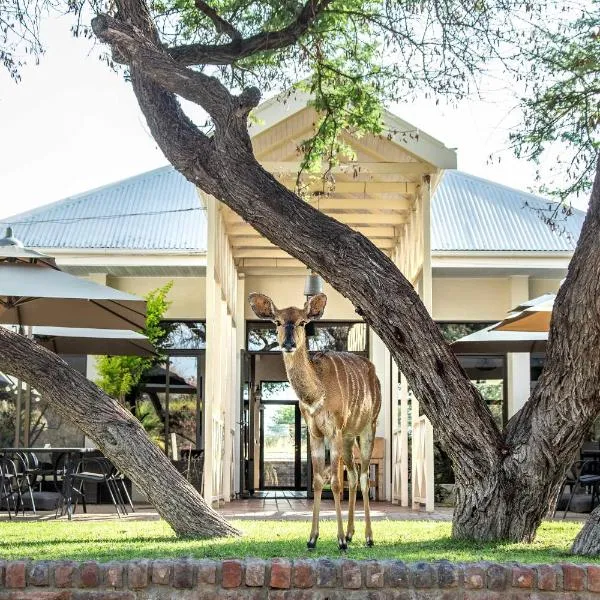 Otjibamba Lodge, hotel in Otjiwarongo