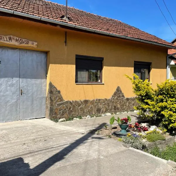 Balla House、Tărcaiaのホテル