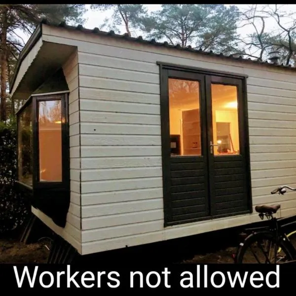 Wulft 47 Zonnig gezellig 6p chalet met zwembad in bosrijke omgeving op Familie Camping de Vossenburcht、IJhorstのホテル