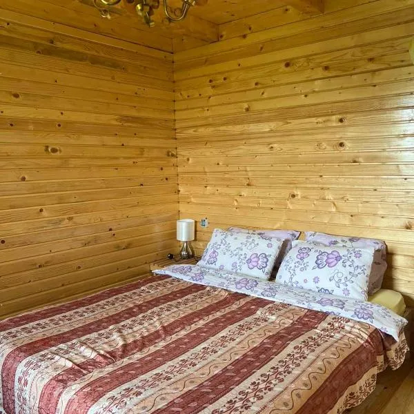 Kolibe Ćorić, hotel v destinaci Mojkovac