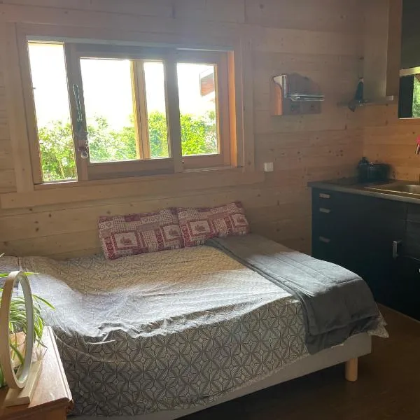 Studio 1 pièce situé dans un chalet, hotel v destinaci Beaufort