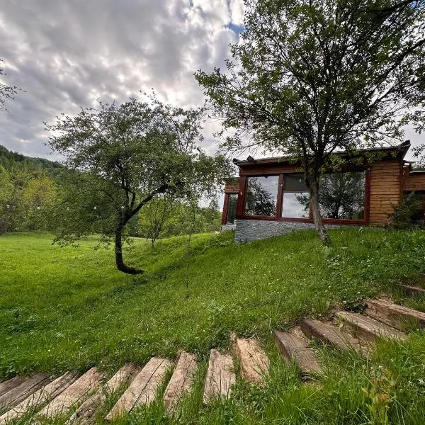 Biutiful Bungalow, hotel din Vişeu de Sus